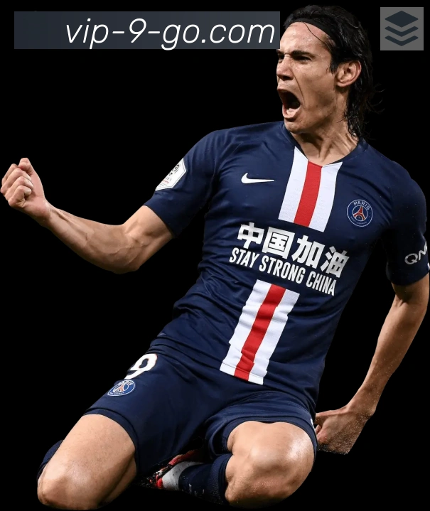 bet9体育APP 封面图